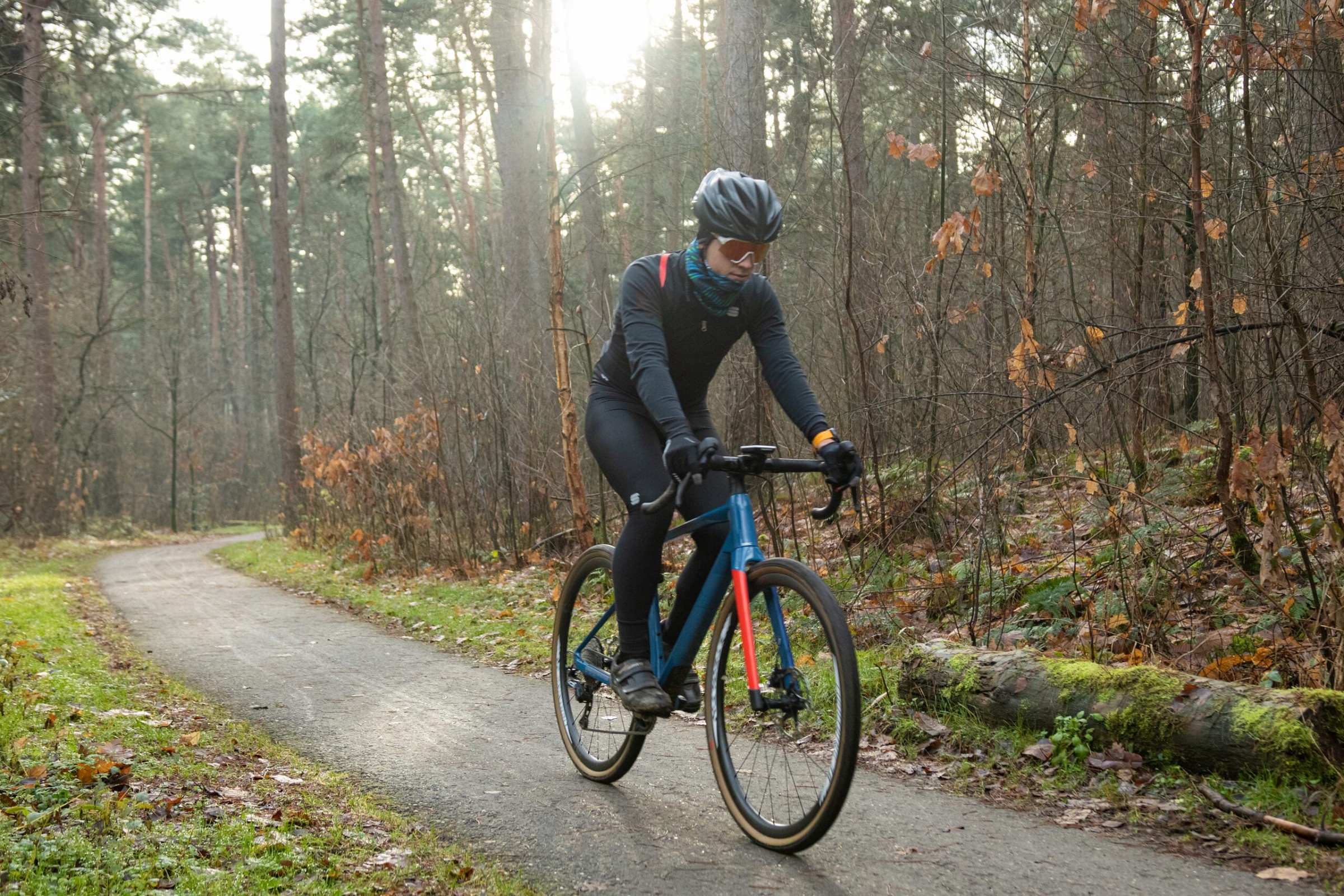 Stealt forest